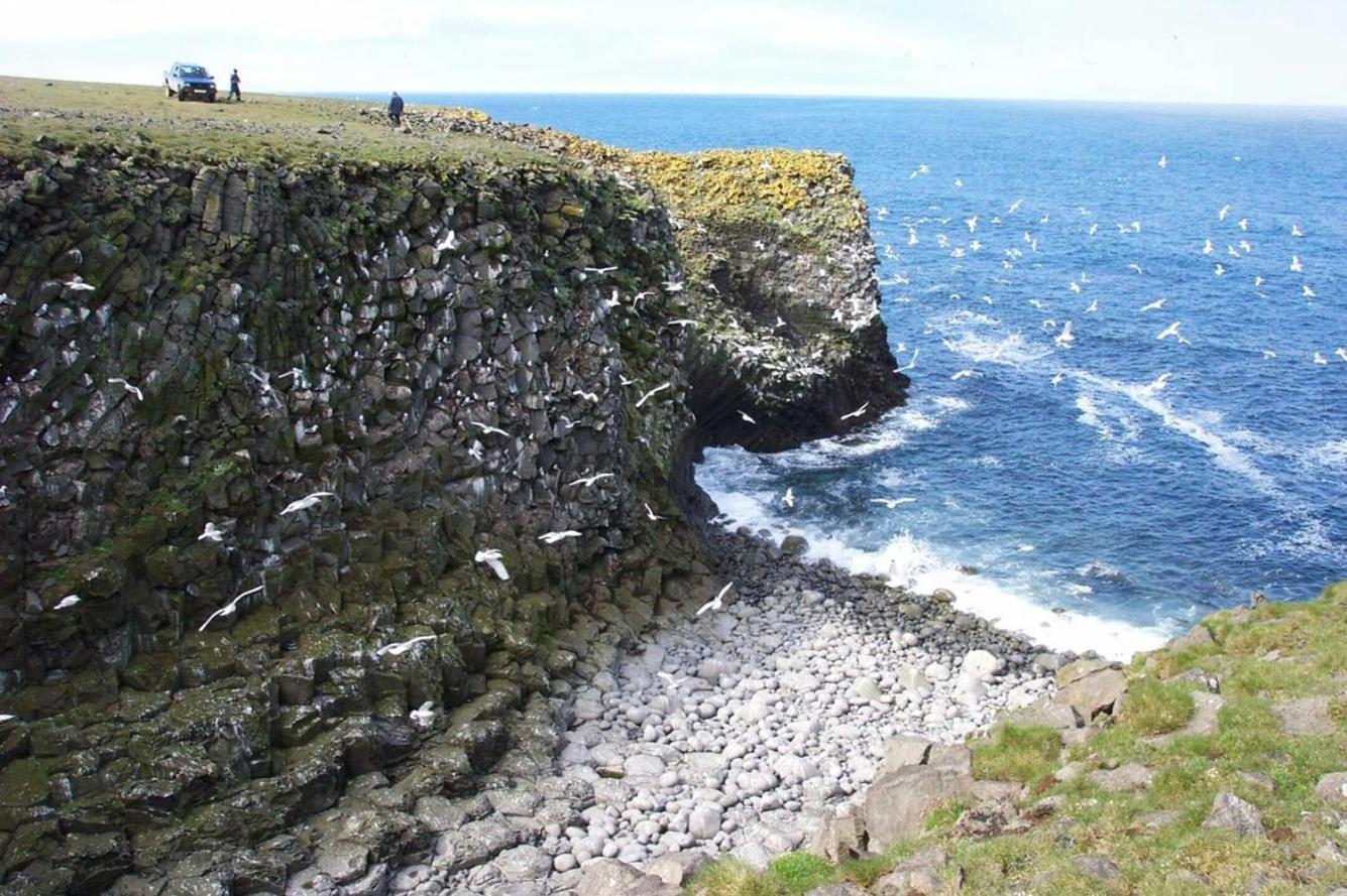 Guesthouse Lyngholt Þórshöfn Екстериор снимка