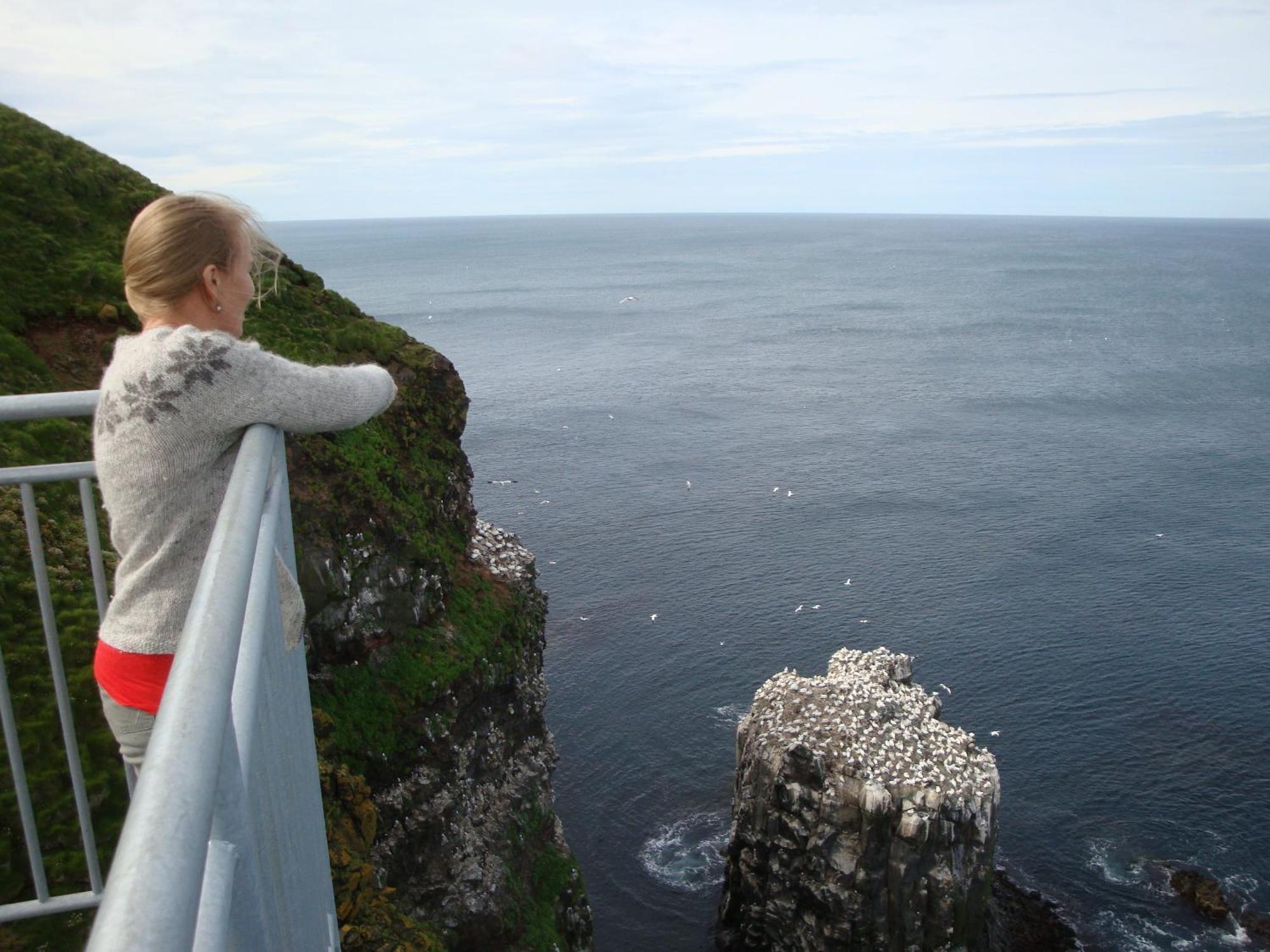 Guesthouse Lyngholt Þórshöfn Екстериор снимка