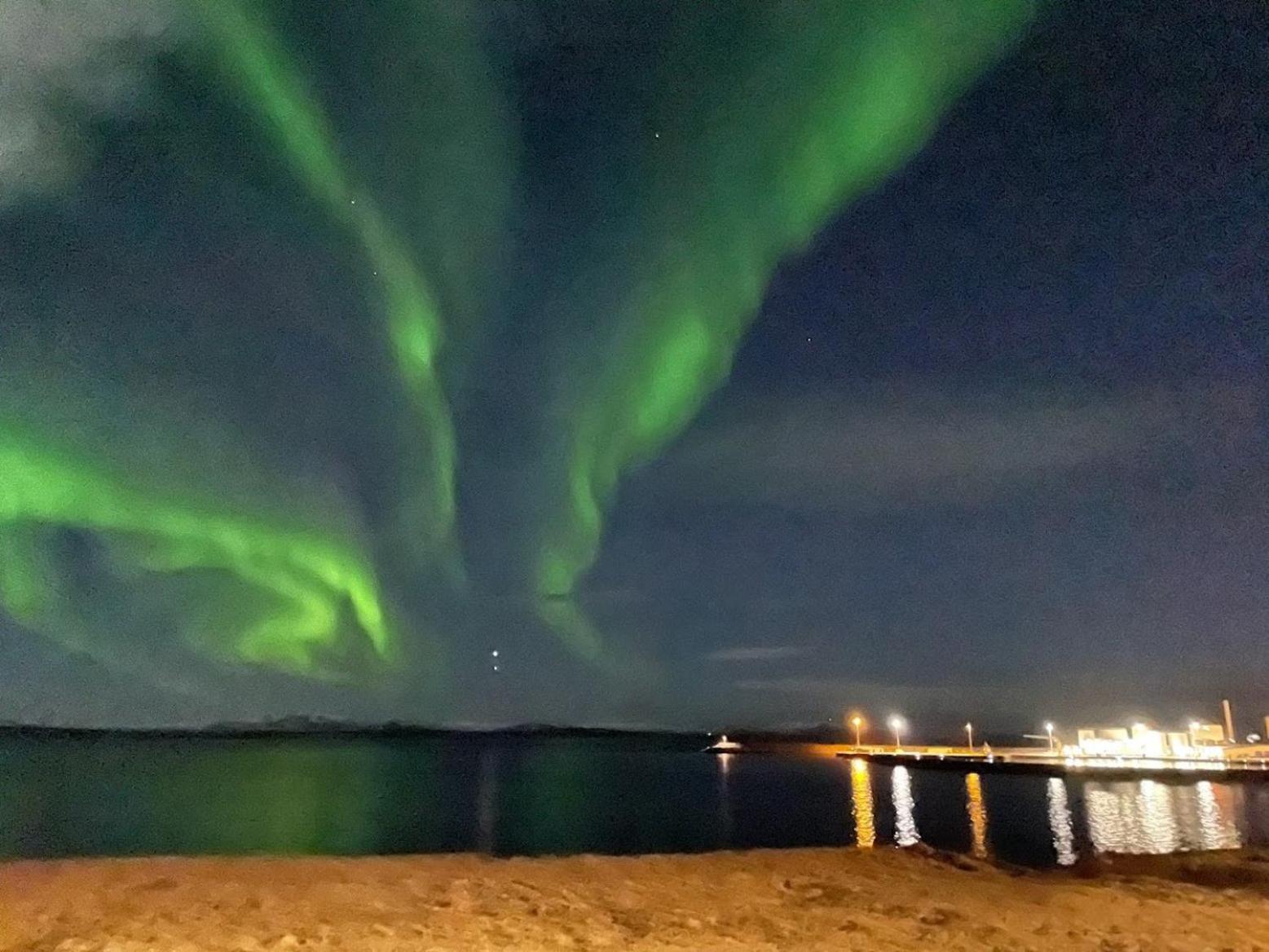 Guesthouse Lyngholt Þórshöfn Екстериор снимка